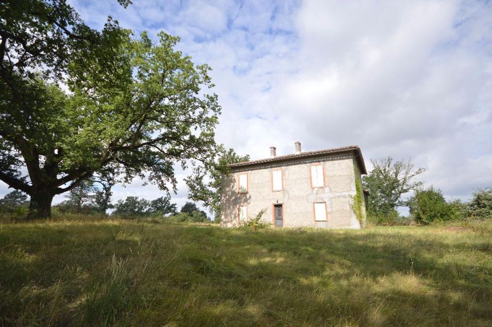 Saint-Nauphary Tarn-et-Garonne Haus Bild 3361198