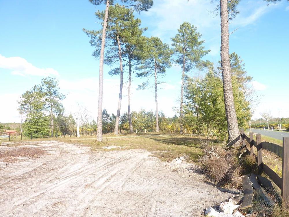 Gourbera Landes terrain picture 3307117