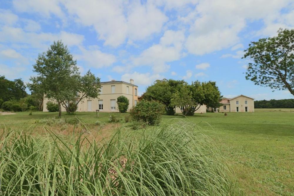 Vertheuil Gironde Haus Bild 3318196