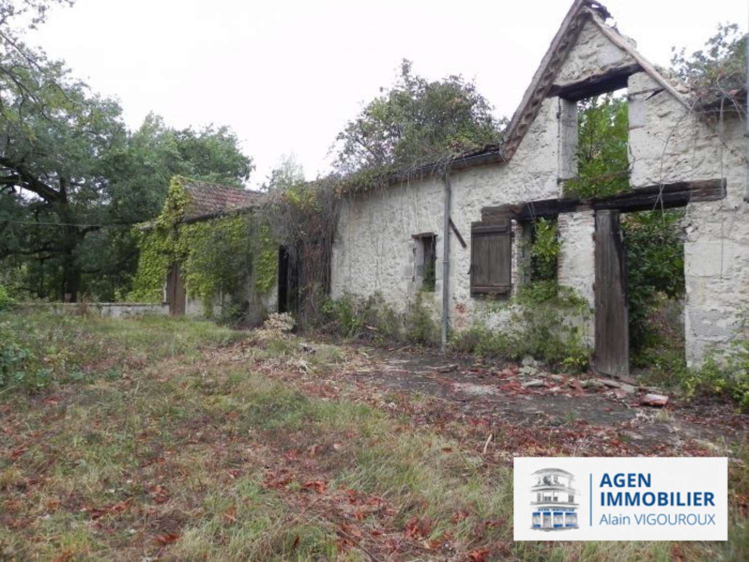 Agen Lot-et-Garonne house picture 4433532