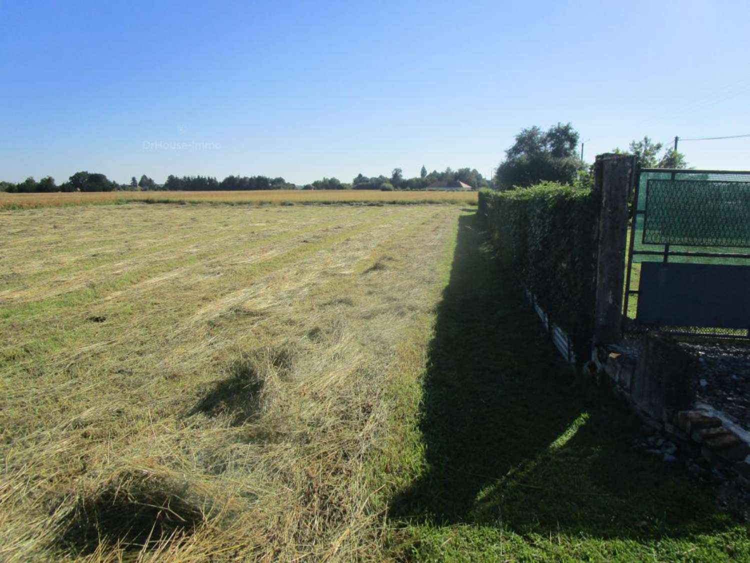 Les Bordes-Aumont Aube terrein foto 4425841