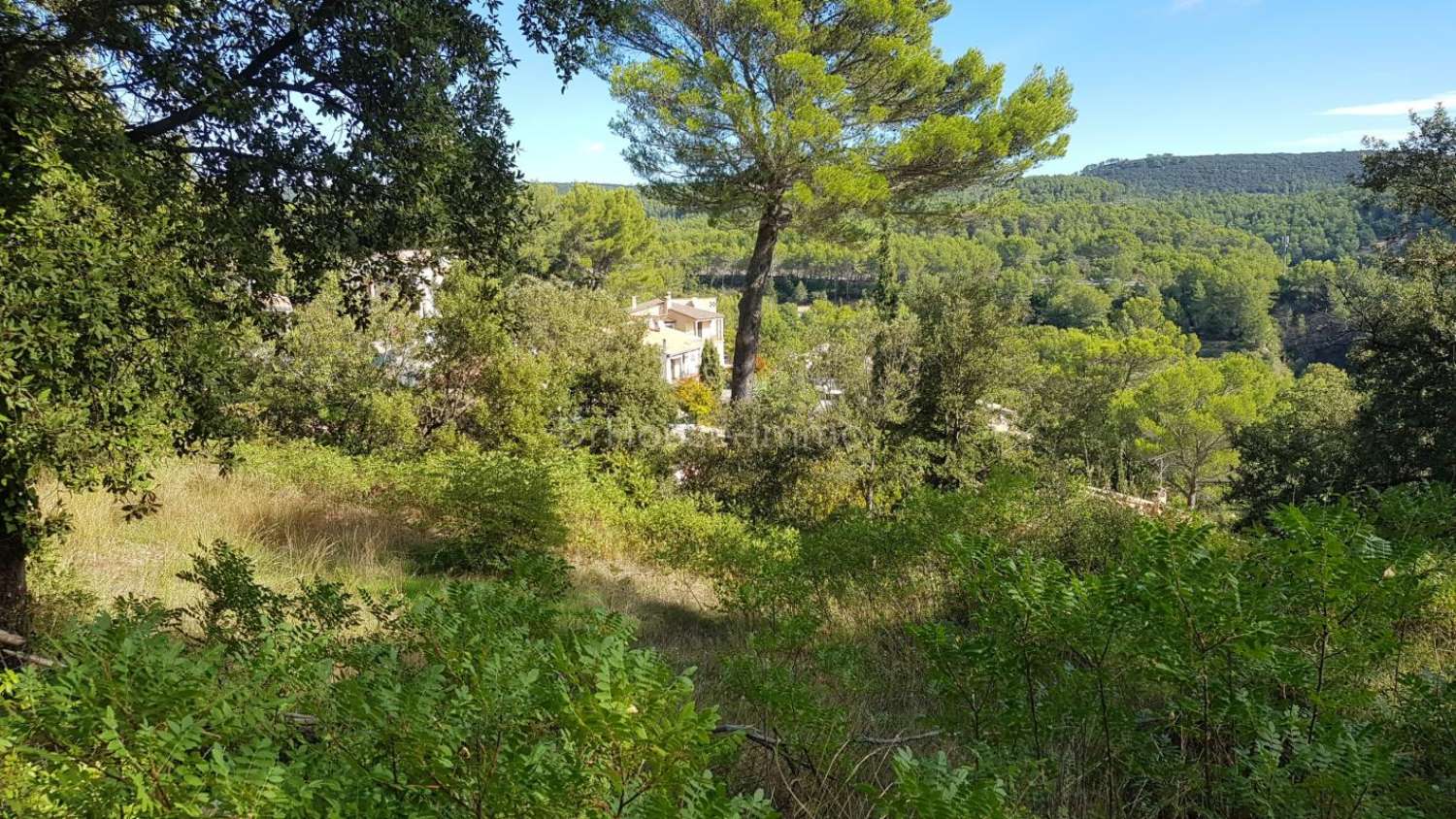 Le Luc Var Grundstück Bild 4442915