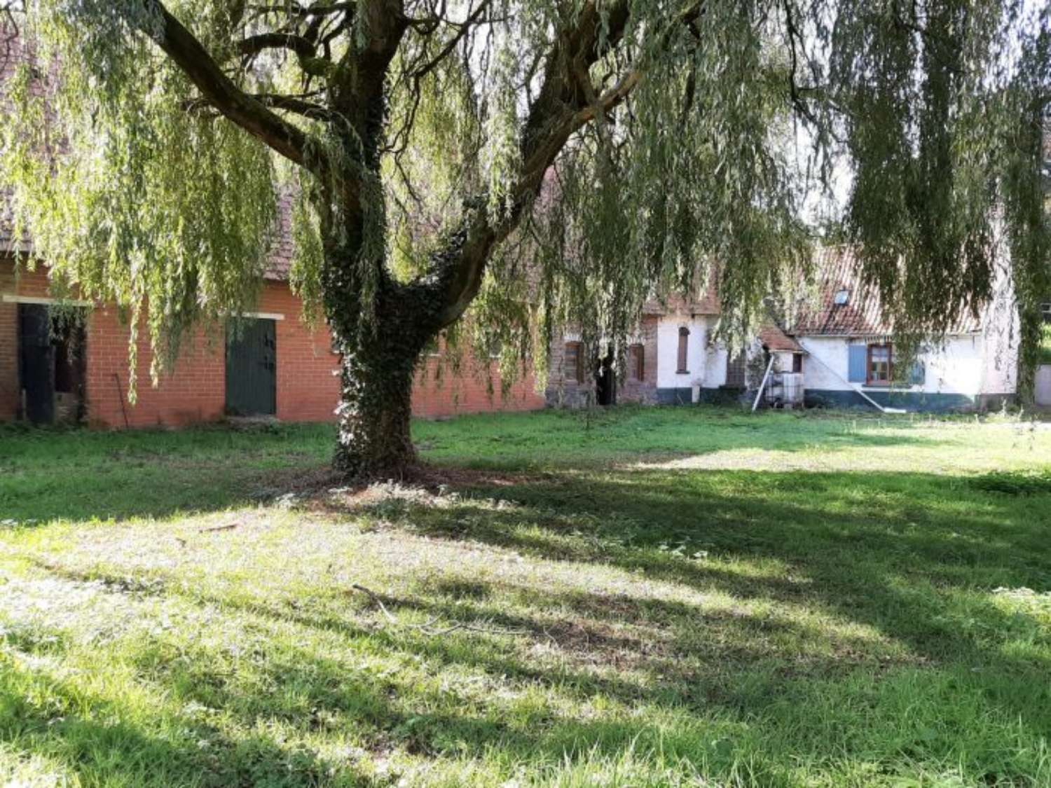 Saint-Omer Pas-de-Calais huis foto 4346957