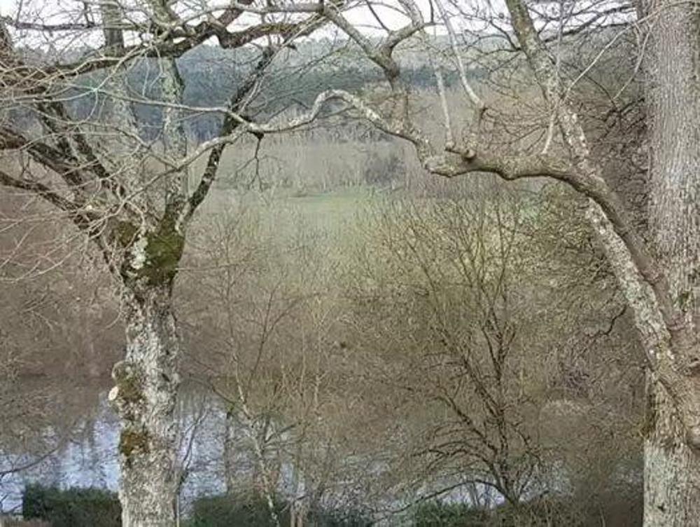 Seiches-sur-le-Loir Maine-et-Loire Grundstück Bild 4487600
