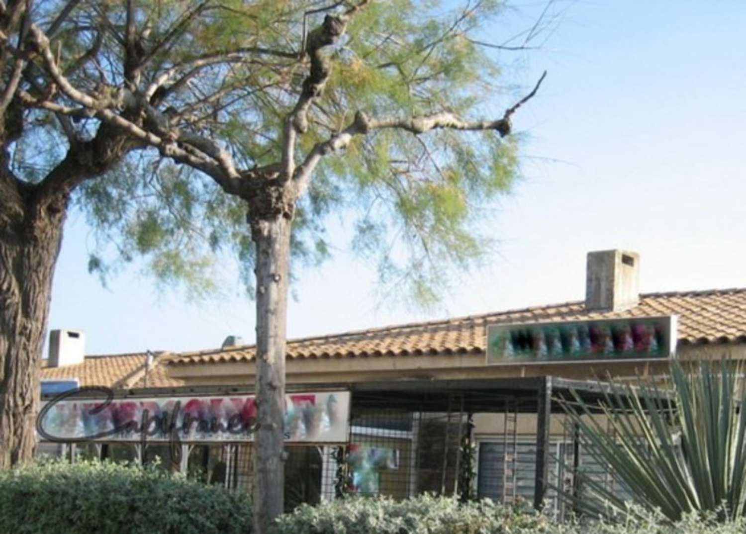 La Londe-les-Maures Var bedrijfsruimte kantoor foto 4474211