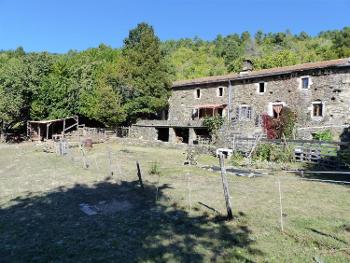 Saint-Julien-des-Points Lozère Bauernhof Bild 4516550