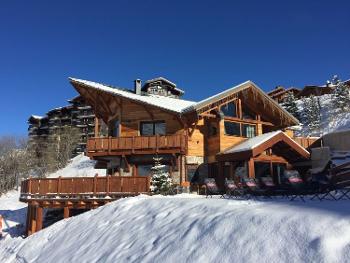 Saint-Martin-de-Belleville Savoie villa picture 4534174
