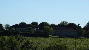 Cahors Lot vignoble photo 4529381
