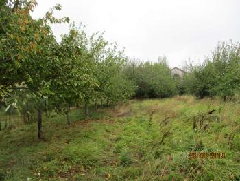 Châteauponsac Haute-Vienne terrain picture 4535280