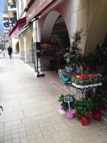 Saint-Laurent-du-Var Alpes-Maritimes maison photo 4516803