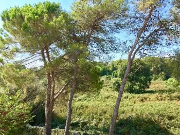 Ghisonaccia Haute-Corse maison photo 4570134