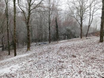 Cosnac Corrèze terrain picture 4517570