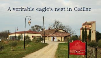 Gaillac Tarn vineyard picture 4528657
