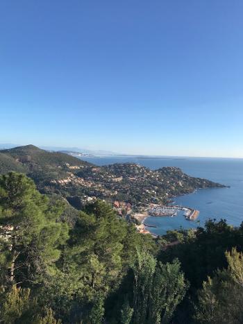 Théoule-sur-Mer Alpes-Maritimes maison photo 4532368
