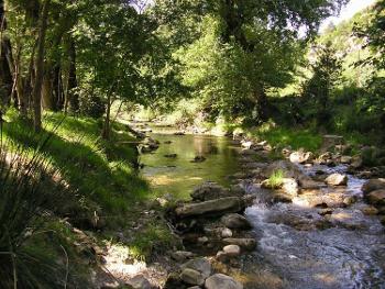 Clermont-l'Hérault Hérault propriété photo 4531239