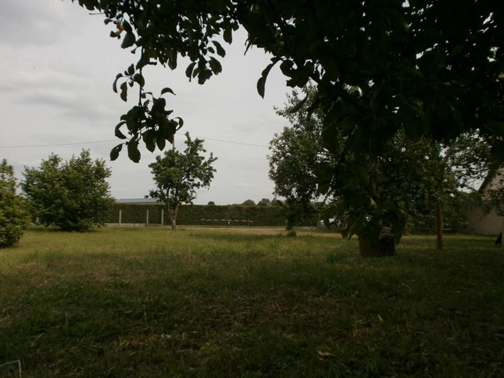 Durtal Maine-et-Loire terrain picture 3472595