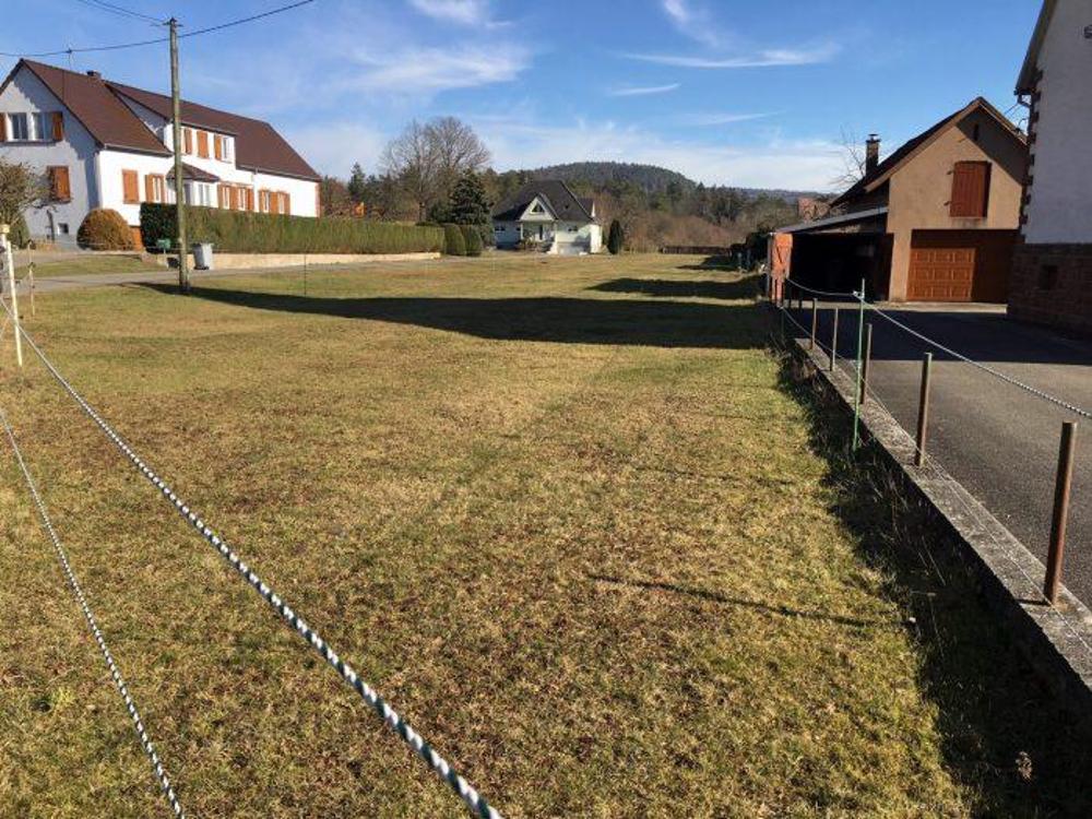 Wimmenau Bas-Rhin terrain picture 3504575