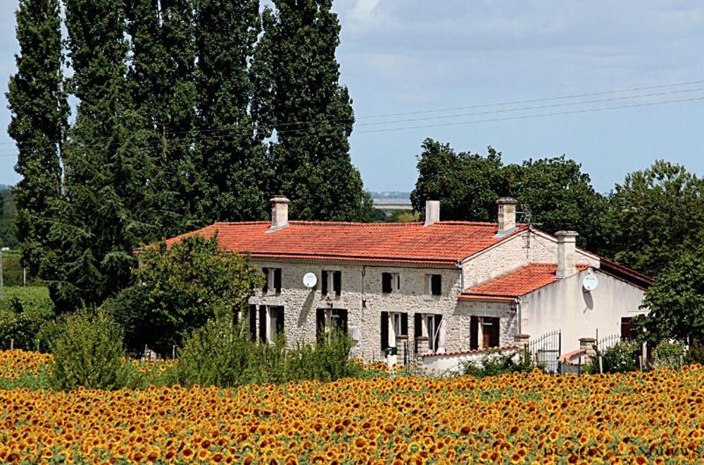 Saint-Androny Gironde Haus Bild 3460996
