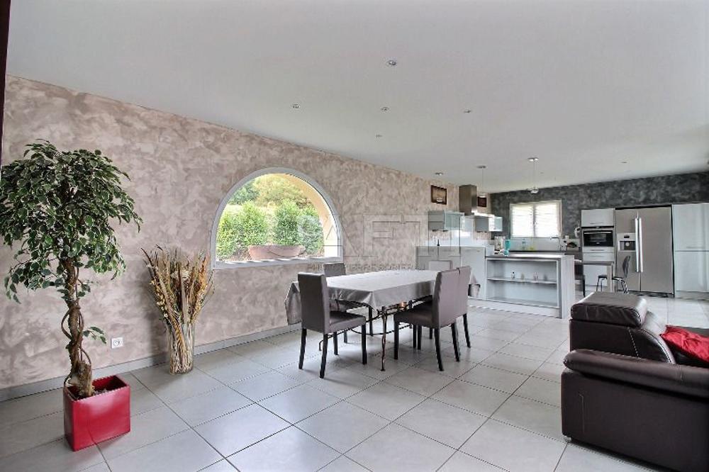Copponex Haute-Savoie huis foto 3458639