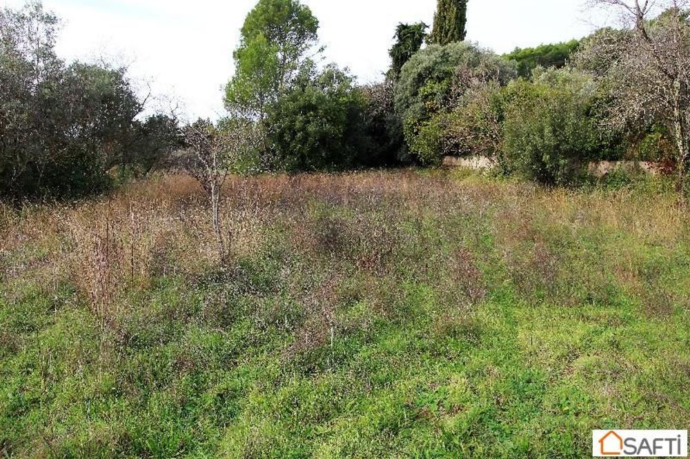 Lorgues Var terrain picture 3462378