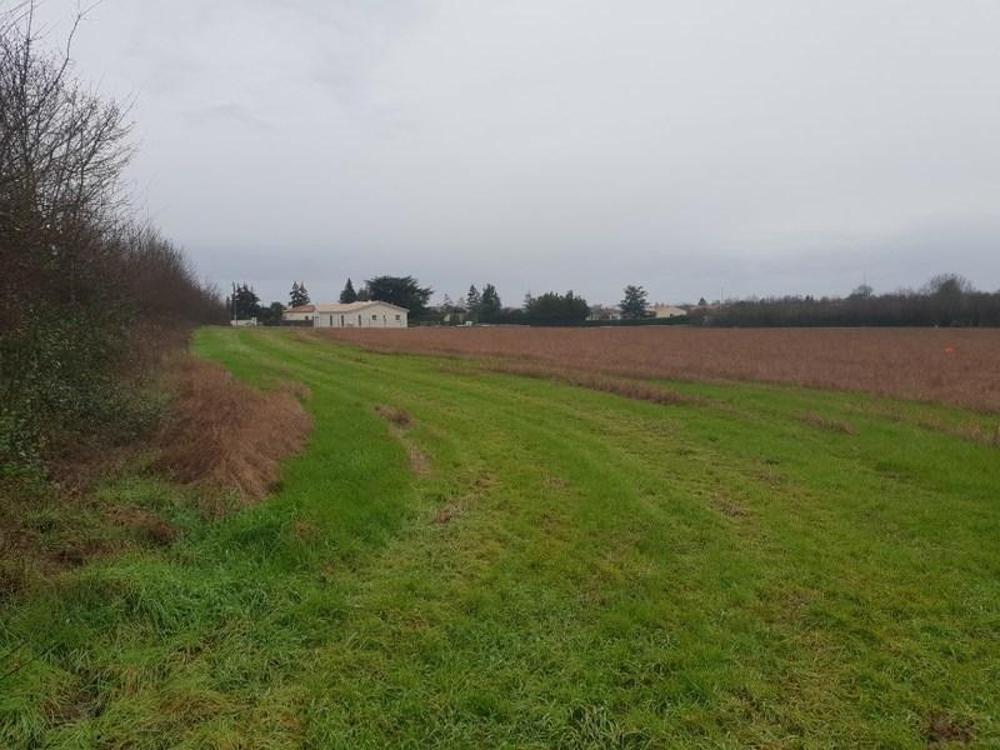 Surgères Charente-Maritime terrein foto 3505787