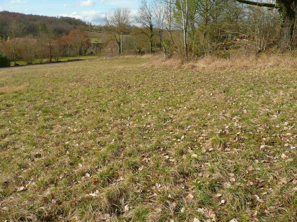 La Rouquette Aveyron terrain picture 3482065