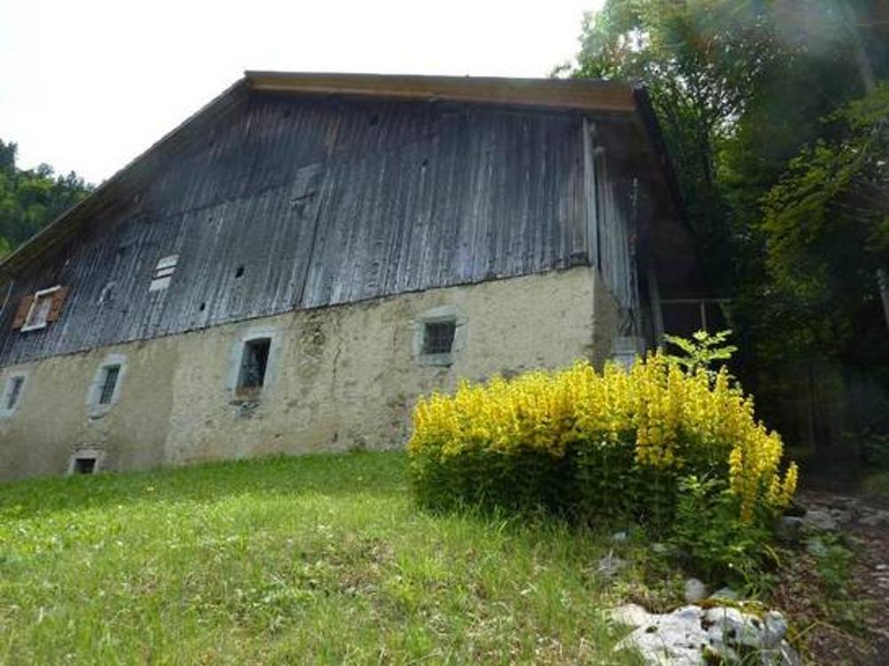 Brizon Haute-Savoie Haus Bild 3471688