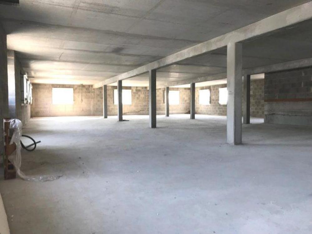Geispolsheim 67118 Bas-Rhin huis foto 3478382
