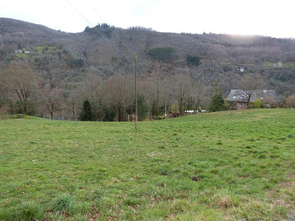 Entraygues-sur-Truyère Aveyron terrain picture 3480964