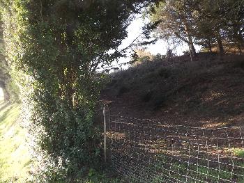 Pissotte Vendée terrain photo 3447121