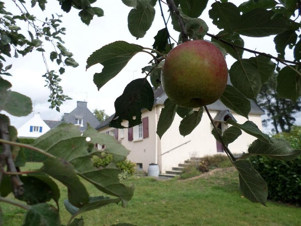 Muzillac Morbihan Haus Bild 3600611