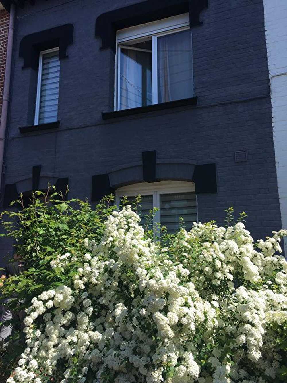 Wasquehal Nord Haus Bild 3763290