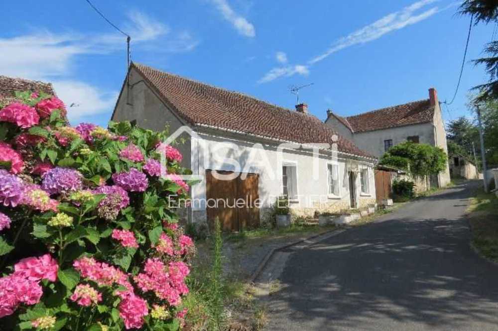 Yzeures-sur-Creuse Indre-et-Loire Haus Bild 3798004
