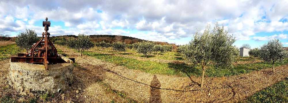 Lézignan-la-Cèbe Hérault Grundstück Bild 3762796