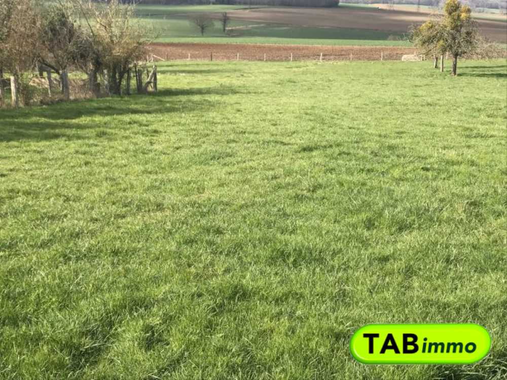 Cuy Oise terrain picture 3815843