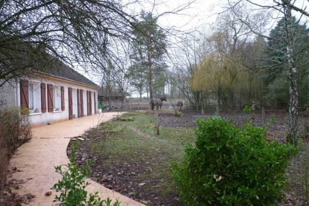 La Selle-en-Hermoy Loiret Haus Bild 3799024