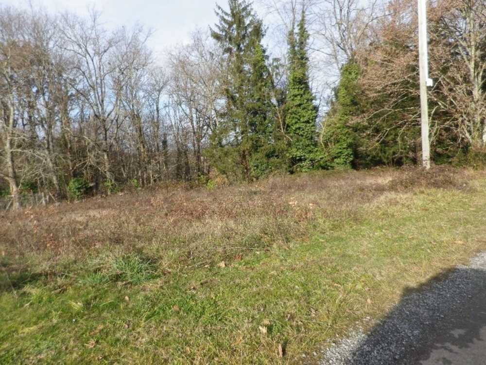 La Douze Dordogne terrain picture 3835831