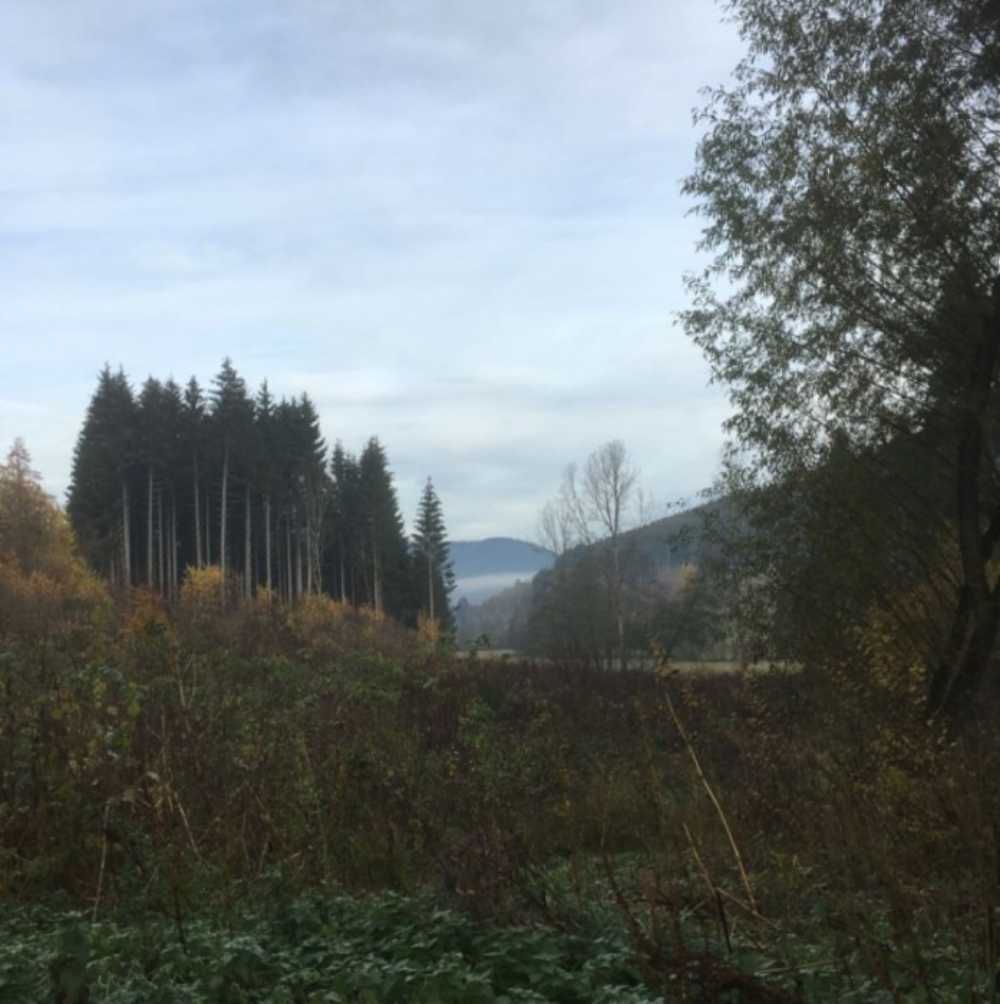 Colroy-la-Roche Bas-Rhin terrain photo 3807418