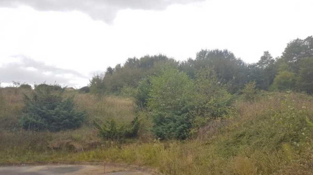 Habas Landes Grundstück Bild 3819181