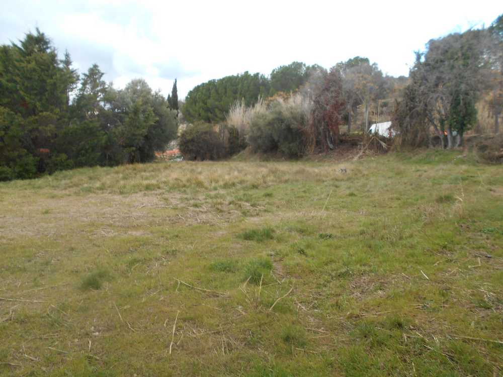 Le Pouget Hérault terrain picture 3762484