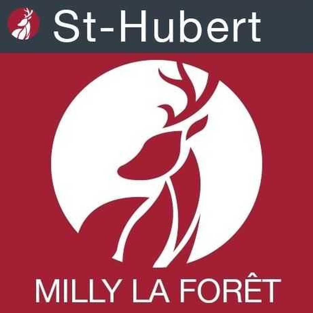 Milly-la-Forêt Essonne terrain picture 3759129