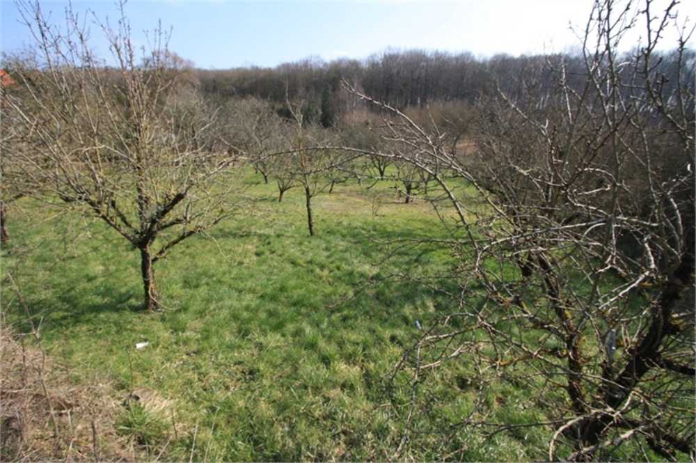 Bouligny Meuse terrain photo 3870278