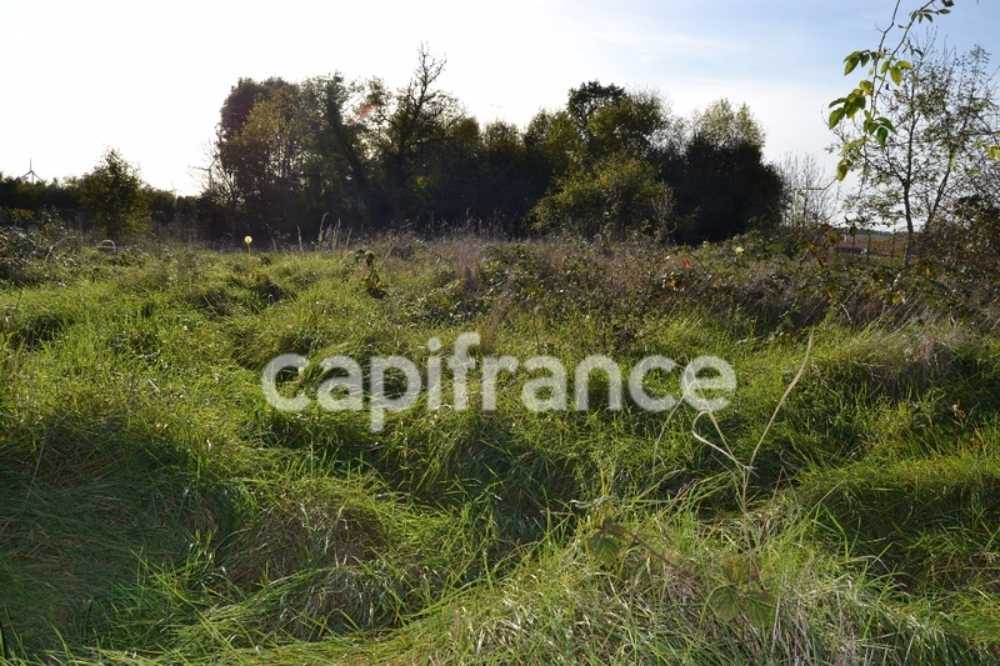 Étampes Essonne terrain picture 3833044
