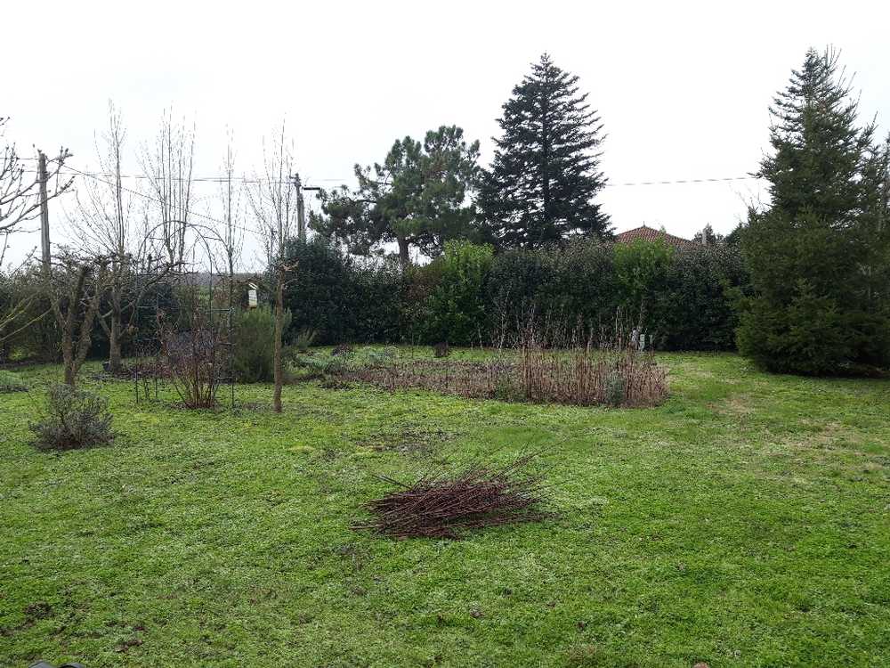 Saujon Charente-Maritime terrain picture 3765476