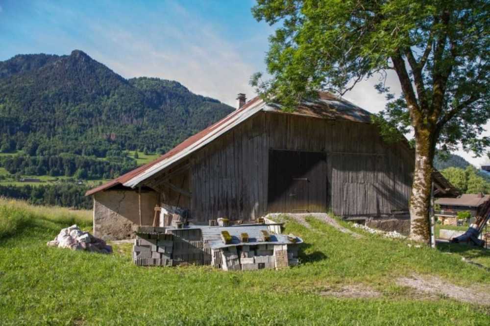 Chevenoz Haute-Savoie Bauernhof Bild 3824722