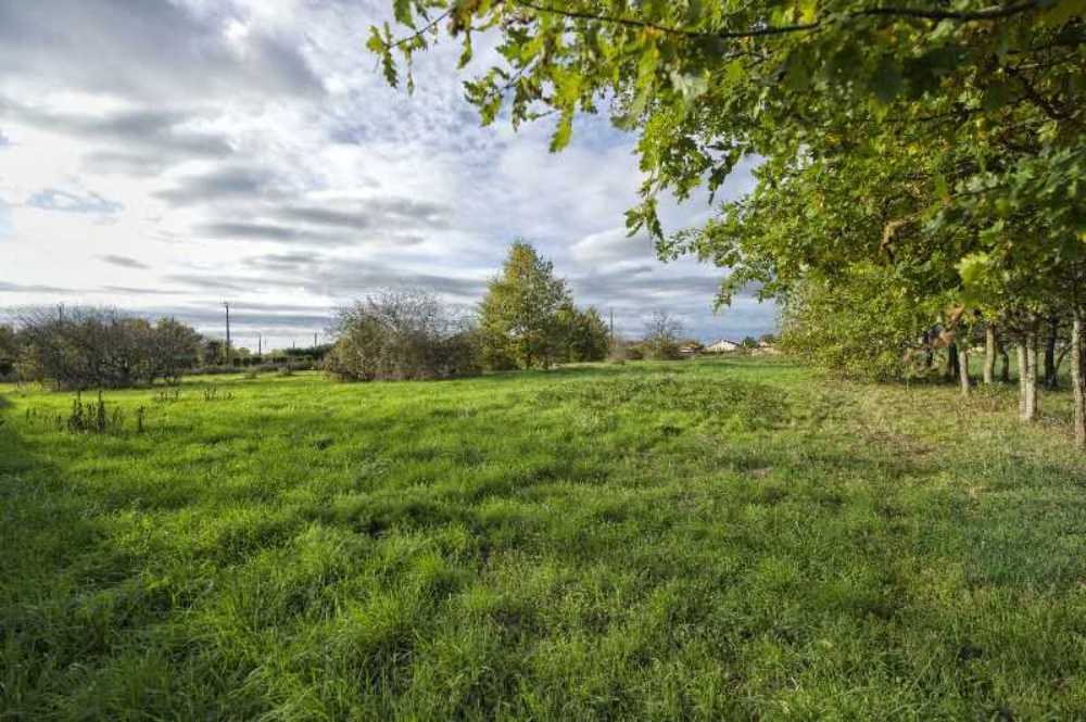 Albefeuille-Lagarde Tarn-et-Garonne terrain picture 3798769