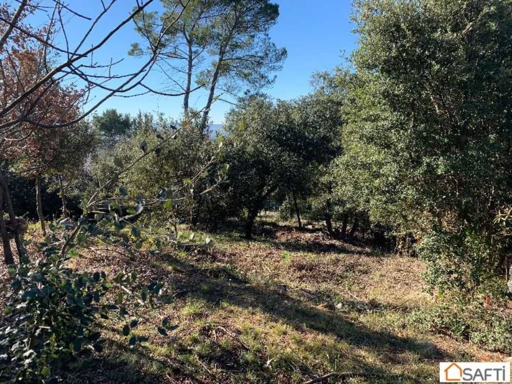 Lorgues Var terrain picture 3795123