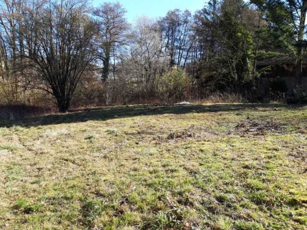 Seppois-le-Bas Haut-Rhin Grundstück Bild 3798477