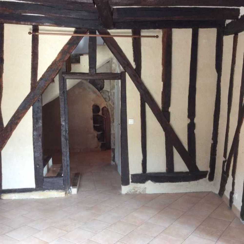 Lussault-sur-Loire Indre-et-Loire Haus Bild 3798554