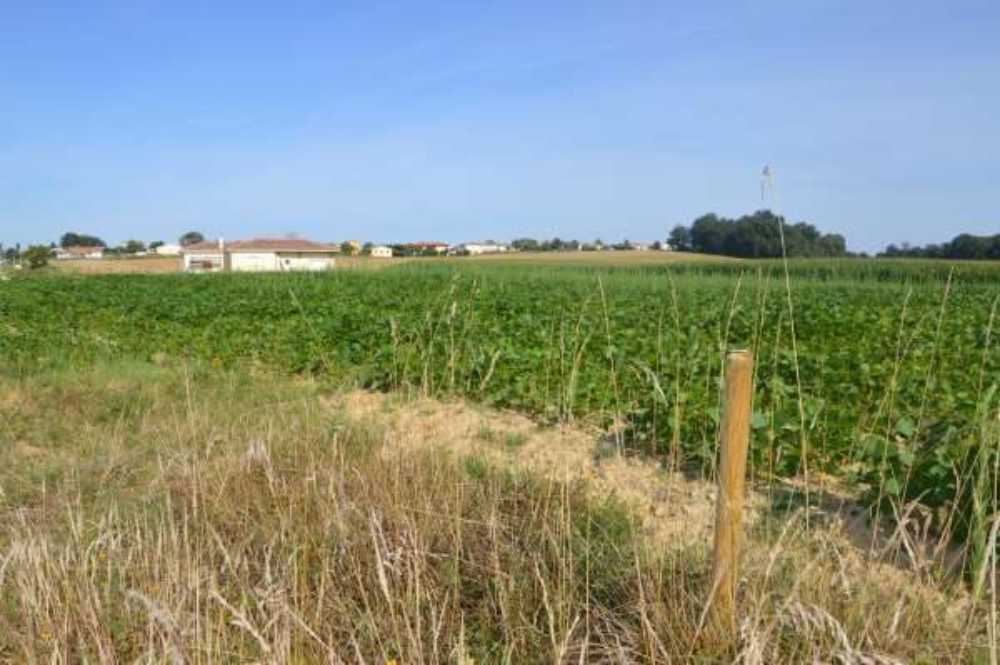 Masseube Gers terrain picture 3861571